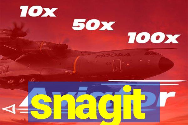 Snagit Icon